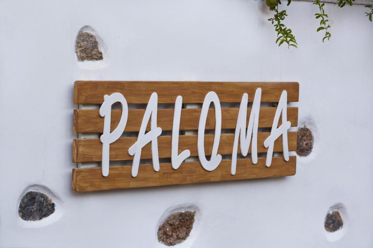 Paloma Luxury Studios Panormos  Extérieur photo