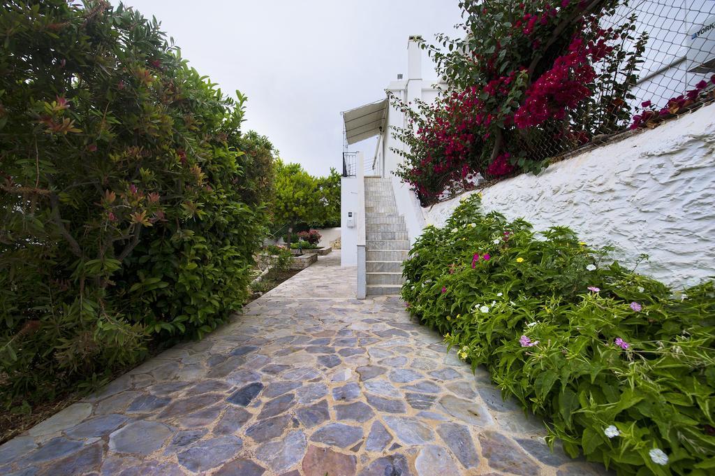 Paloma Luxury Studios Panormos  Extérieur photo